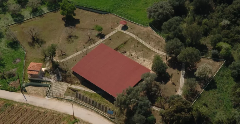 Σπαλιαρέικα